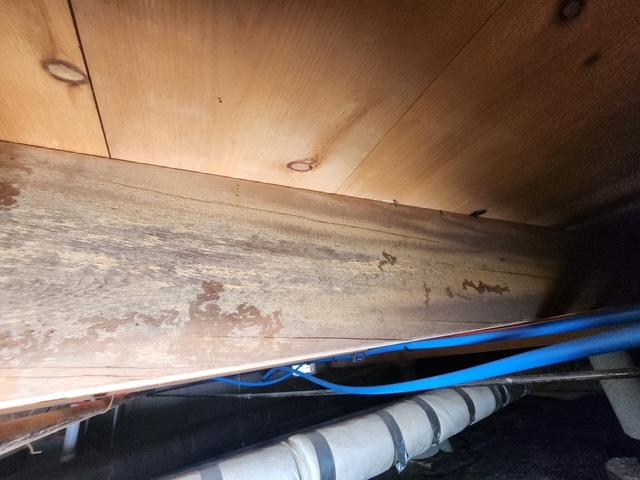 Original photograph: dark mold contamination staining a floor joist in a Southwest Missouri crawl space, with copper and PEX lines running below